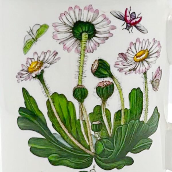 Portmeirion Botanic Garden Coffee Mug Daisy