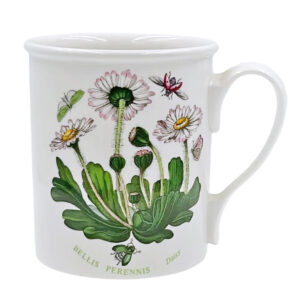Portmeirion Botanic Garden Coffee Mug Daisy