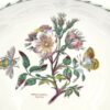 Portmeirion Botanic Garden Dog Rose Mixing Bowl