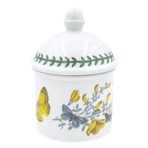 Portmeirion Botanic Garden Covered Jar Cytisus Broom