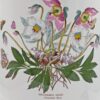 Portmeirion Botanic Garden Extra Large Lidded Jar Christmas Rose