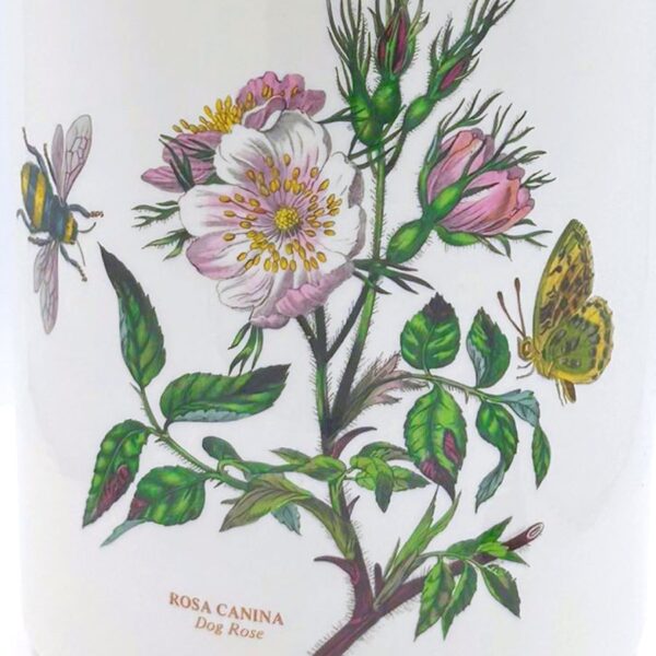 Portmeirion Botanic Garden Lidded Jar Dog Rose