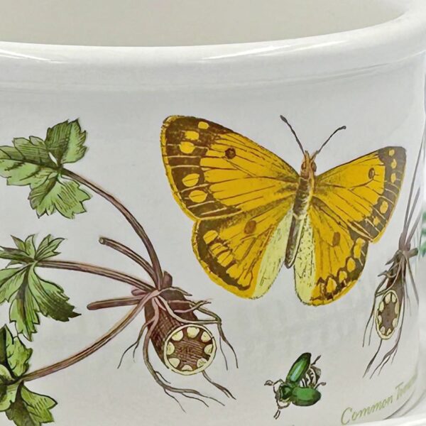 Portmeirion-Botanic-Garden-Serving-Bowl-On-Stand-Common-Tomentil-3 Portmeirion Botanic Garden Serving Bowl On Stand Common Tomentil