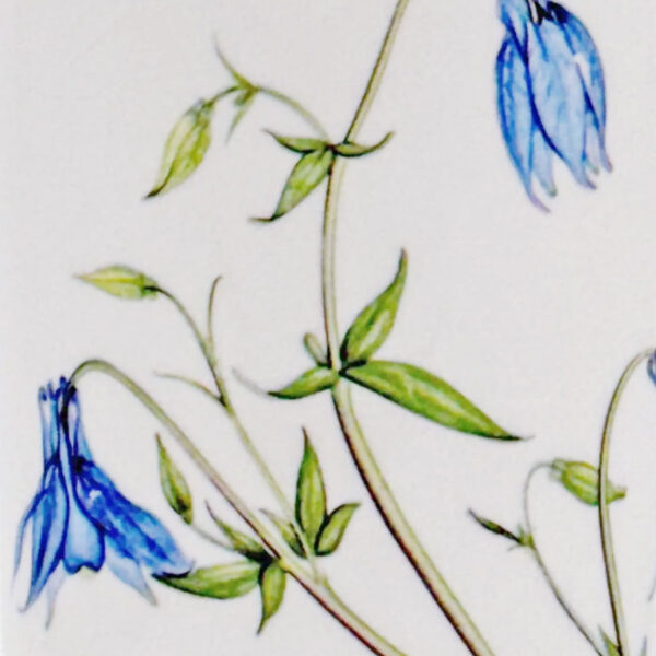 Portmeirion Vase The Queens Hidden Garden Blue Bells