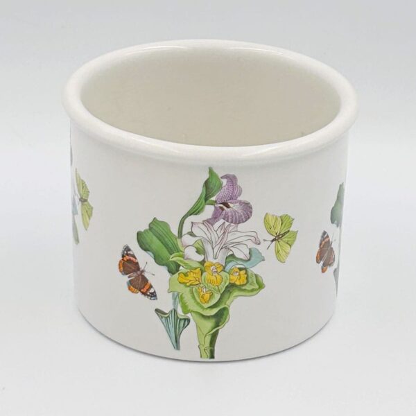 Portmeirion Botanic Garden Jardiniere Orchid 10cm