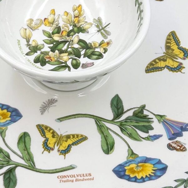 Portmeirion Botanic Garden Snack Platter With Dip Bowl Trailing Bindweed