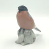 Bing And Grondahl Bullfinch 1909