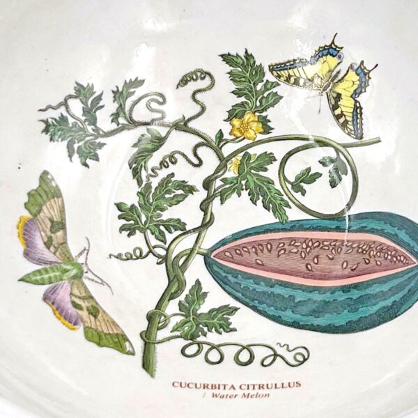 Portmeirion Botanic Garden Med Salad Water Melon