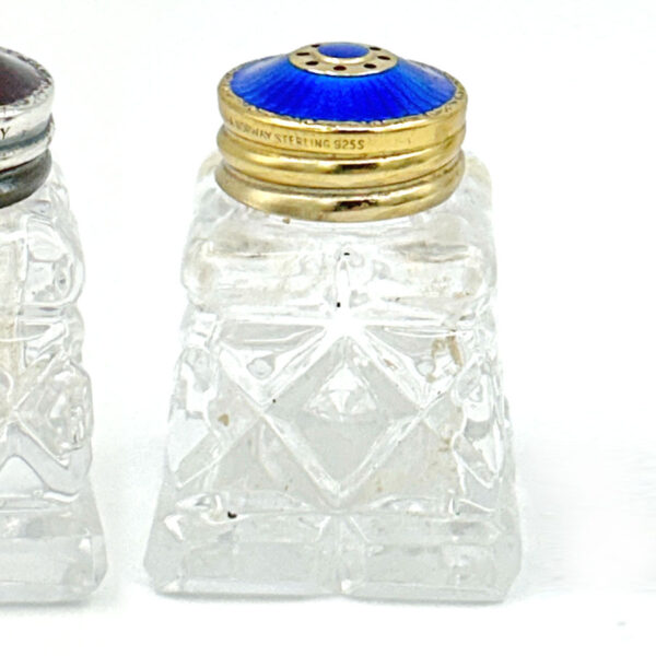 David Anderson Pair Silver And Enamel Salt and Pepper Cellars