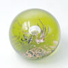 Caithness-scotland-antennae-art-glass-paperweight-Ltd-edition-2 Caithness Scotland Antennae Art Glass Paperweight LTD Edition