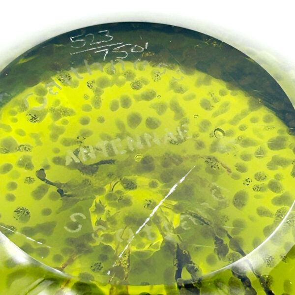 Caithness-scotland-antennae-art-glass-paperweight-Ltd-edition-3 Caithness Scotland Antennae Art Glass Paperweight LTD Edition