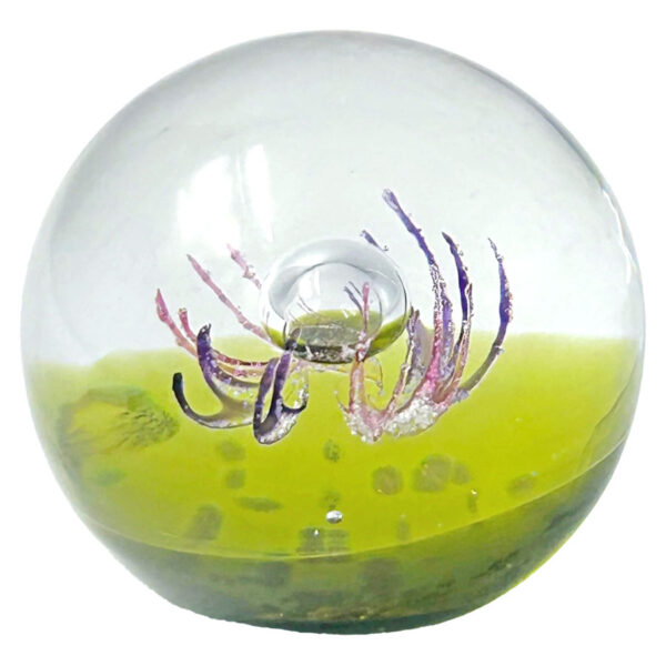 Caithness-scotland-antennae-art-glass-paperweight-Ltd-edition Caithness Scotland Antennae Art Glass Paperweight LTD Edition