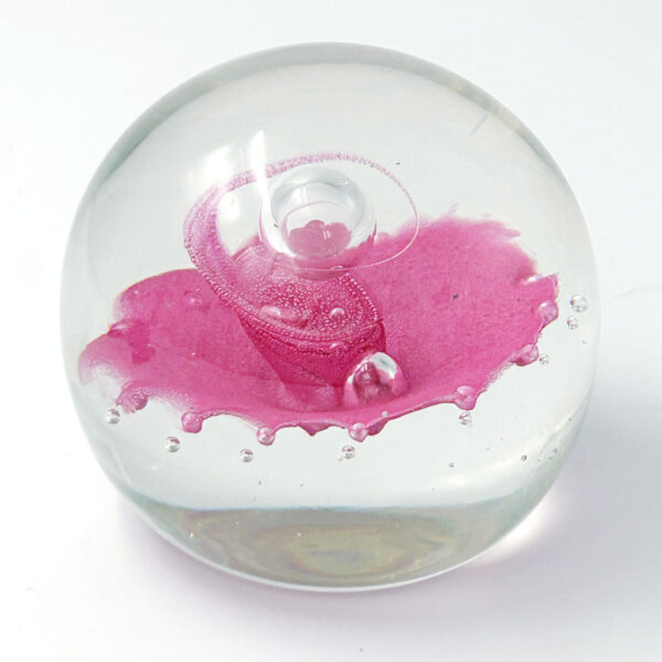 Caithness Scotland Floral Illusion Art Glass Paperweight LTD Edition