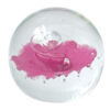 Caithness Scotland Floral Illusion Art Glass Paperweight LTD Edition
