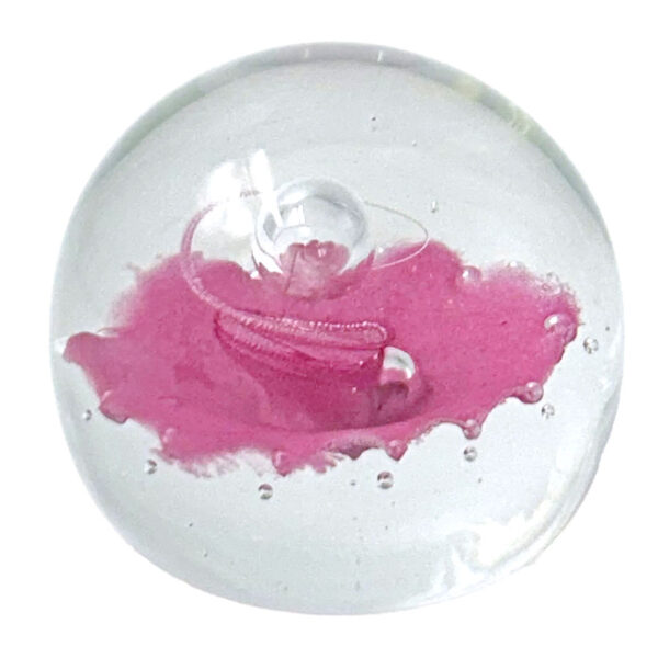 Caithness Scotland Floral Illusion Art Glass Paperweight LTD Edition
