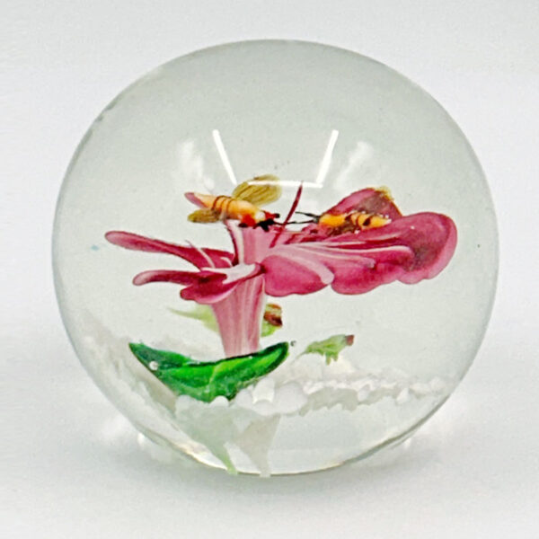 Murano Hibiscus and Bees Art Glass Paperweight 20th