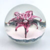 Selkirk Scotland Firecracker Art Glass Paperweight 1997