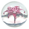 Selkirk Scotland Firecracker Art Glass Paperweight 1997