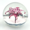 Selkirk Scotland Firecracker Art Glass Paperweight 1997
