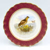 Royal-Worcester-pheasant-cabinet-plate-1 Royal Worcester Pheasant Hand Painted Cabinet Plate C1888