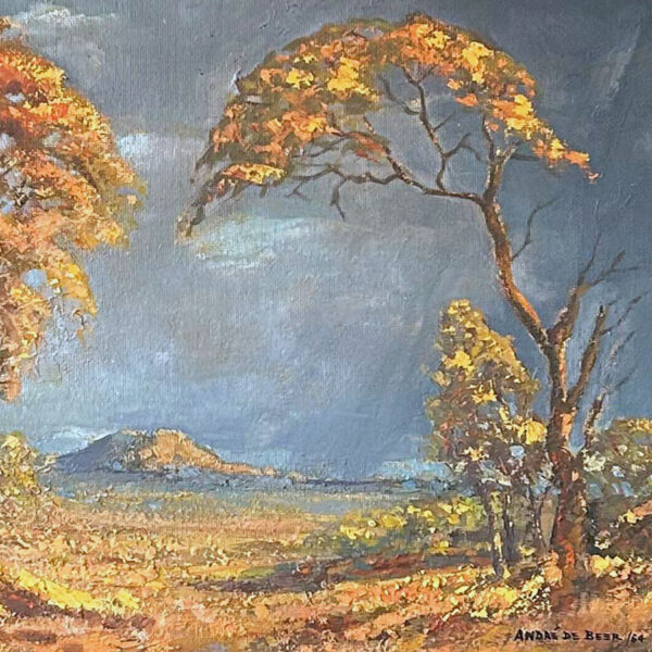 Andre de Beer Landscape Scene