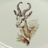 Wedgwood Union National Park South Africa Springbok Bowl