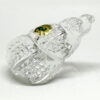 Waterford  Shell Shaped Paperweight