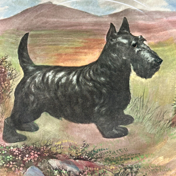 Royal Doulton Scottish Terrier Wall Plate C1940