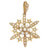 15ct Victorian Celestial Pearl Pendant