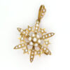 15ct Victorian Celestial Pearl Pendant