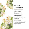 Black-Angelica---Lampe-Berger Black Angelica - Lampe Berger Fragrance Refill 500ml