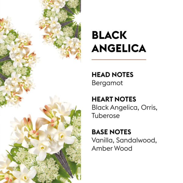 Black-Angelica---Lampe-Berger Black Angelica - Lampe Berger Fragrance Refill 500ml
