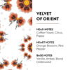 Velvet-of-Orient---Lampe-Berger-2 Velvet of Orient - Lampe Berger Fragrance Refill 1Lt