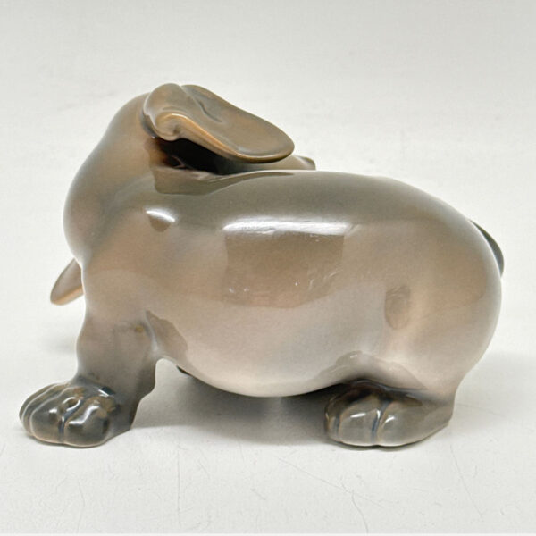 Copenhagen Dachshund Chasing Its Tail 1407