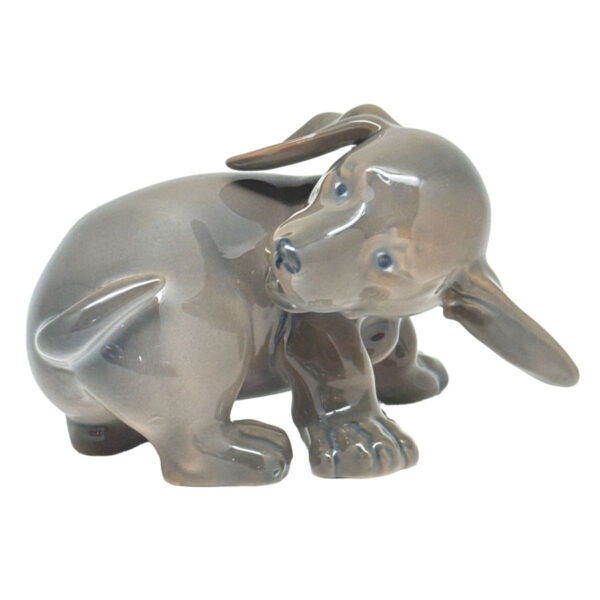 Copenhagen Dachshund Chasing Its Tail 1407