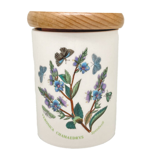 Portmeirion Botanic Garden Small Lidded  Speedwell