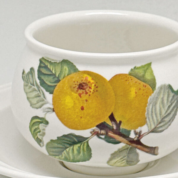 Portmeirion Tea Duo Pomona Ingestrie Peppernal