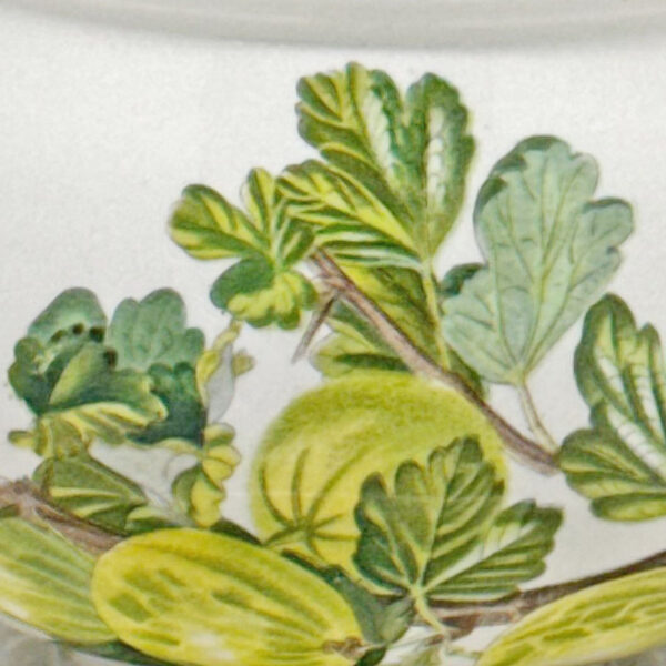 Portmeirion Tea Duo Pomona Queen Of Sheba