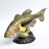 Beswick England Large Mouthed Black Bass 1266