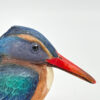 Feathers Of Knysna Boxed Kingfisher