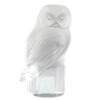 Lalique-Frosted-Glass-Owl-Paperweight Lalique Frosted Glass Owl Paperweight