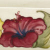 Moorcroft Hibiscus Poppy Vase Ivory Ground C1974