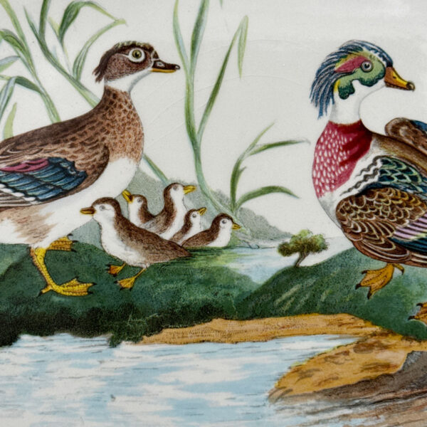 Portmeirion Birds Of Britain Wood Duck Platter