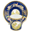 Spode Copeland Hand Painted Flower and Bird Scene Coffee Duo C1890