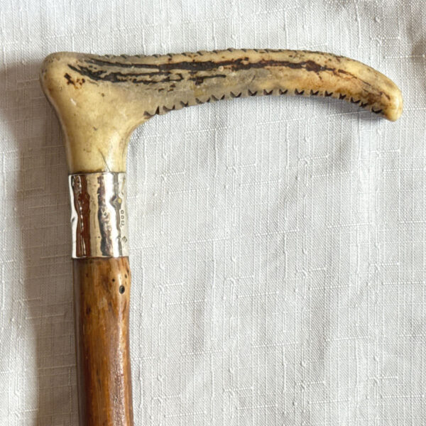 Horn-Handled-Wooden-Silver-Mounted-Walking-Stick-Sheffield-1918-1 Horn Handled Wooden Silver Mounted Walking Stick Sheffield 1918