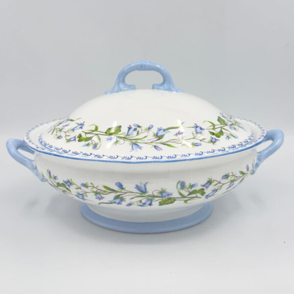 Shelley Harebell 13544 Vegetable Toureen and Cover