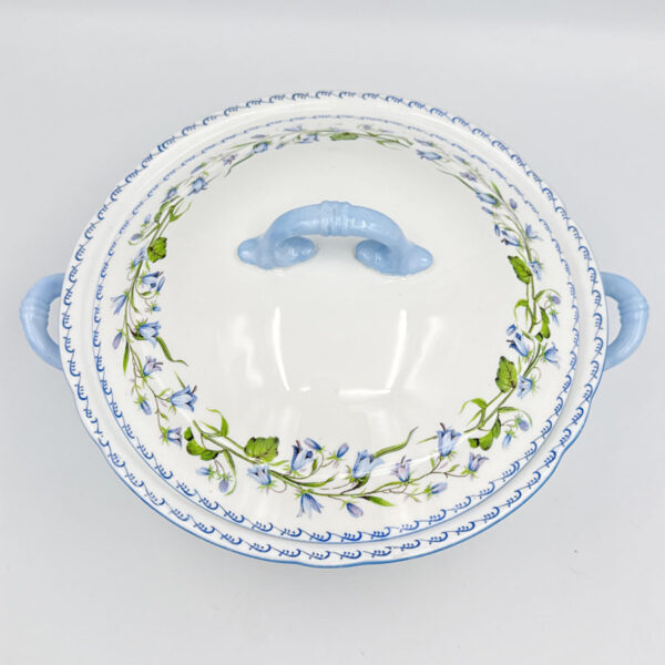 Shelley Harebell 13544 Vegetable Toureen and Cover