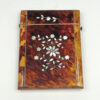 Victorian Tortoise Shell With Mother Of Pearl Inlay Calling Card Case C1870