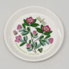Portmeirion Botanic Garden Bon Bon Dish Rhododendron