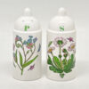 Portmeirion Botanic Garden Salt and Pepper Cellars